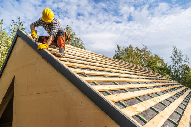 Best Roof Gutter Cleaning  in Norwood, OK